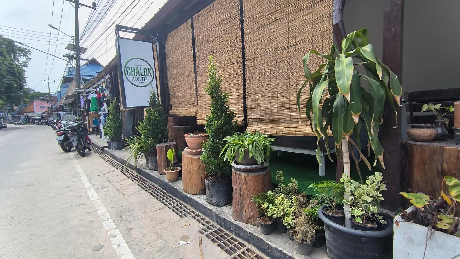 Chalok Hostel Koh Tao Thailand